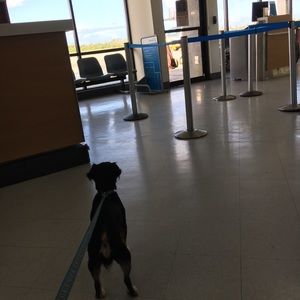 Meet your Posher, Bridget